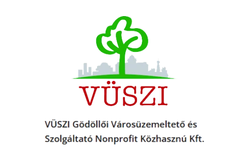 VÜSZI